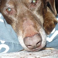 Frances Mcpherson Photo 16