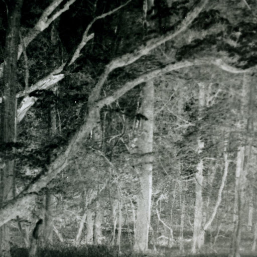 Mark Warfield Photo 25