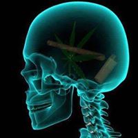 Roman Mendez Photo 7