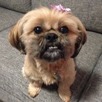 Sally Richards Photo 19