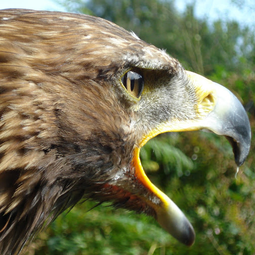 Dean Nelson Photo 43