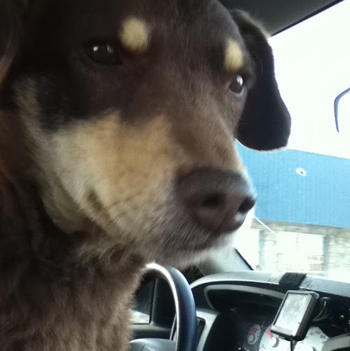 Lilli Roberts Photo 4