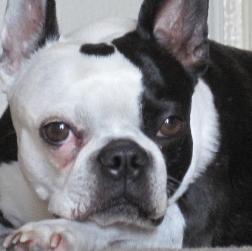 David Dickey Photo 35