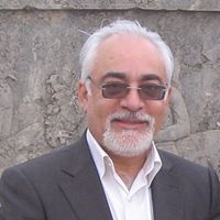 Reza Azimi Photo 18