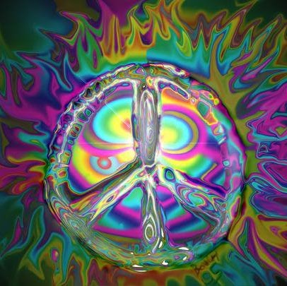 Jason Marshall Photo 12