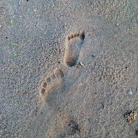 Robin Delaney Photo 12