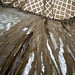 Janice Hewitt Photo 24