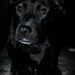 Effie Foster Photo 6