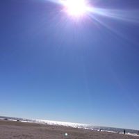 Susan South Photo 28