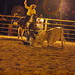 Richard Downs Photo 15