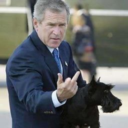 Johnny Dyer Photo 11