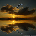 Gerald Berg Photo 14