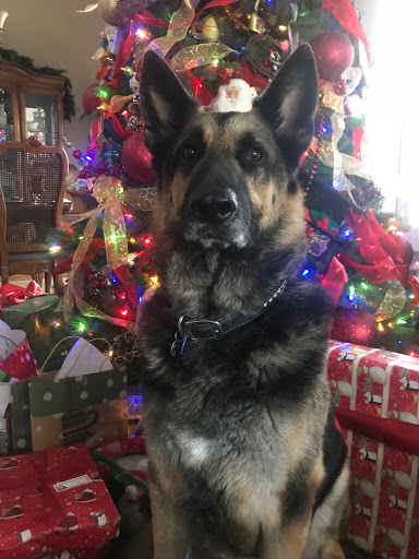 James Spear Photo 45