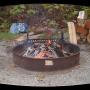 John Harbison Photo 7