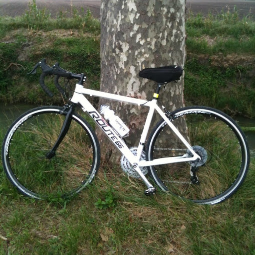 Julie Forbes Photo 6