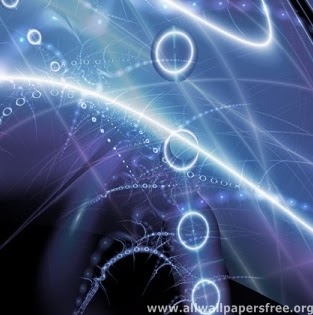 Leigh Sullivan Photo 38