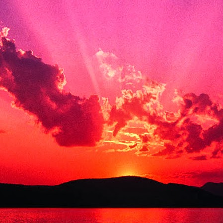 Antoinette Holmes Photo 6