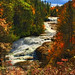 Kathy Hardy Photo 17