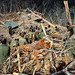 James Ware Photo 18