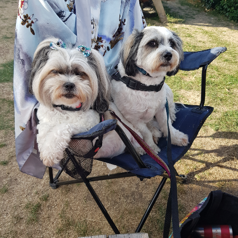 Susan Ashton Photo 25