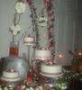 Michelle Cohen Photo 8