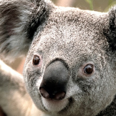 Christine Toscano Photo 20