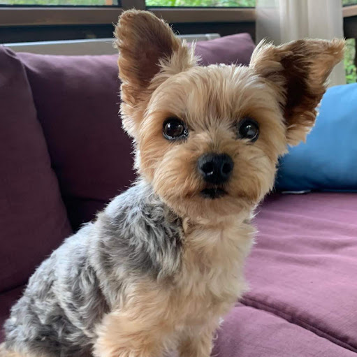 Michele Yeager Photo 14