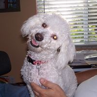 Jack Kelly Photo 26 Jack Kelly Photo 26