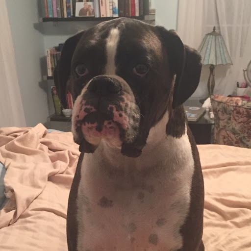 Julie Boyle Photo 15