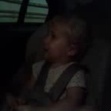 Jesse Stout Photo 22