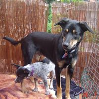 Paula Clements Photo 26