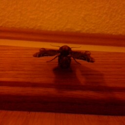 Kimberly Baird Photo 16