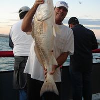 Ron Pierson Photo 37