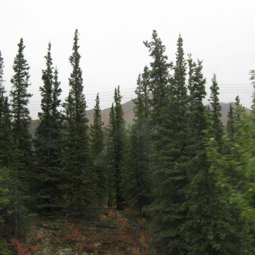 Stephen Aldrich Photo 37