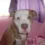 Karen Bunting Photo 26
