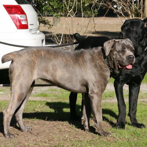 Irene Frederick Photo 30 Irene Frederick Photo 30