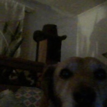 Frankie Sutton Photo 11