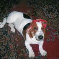 Sue Hutchins Photo 21