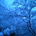 John Feng Photo 11