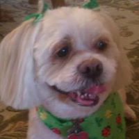 Mary Schmitt Photo 31