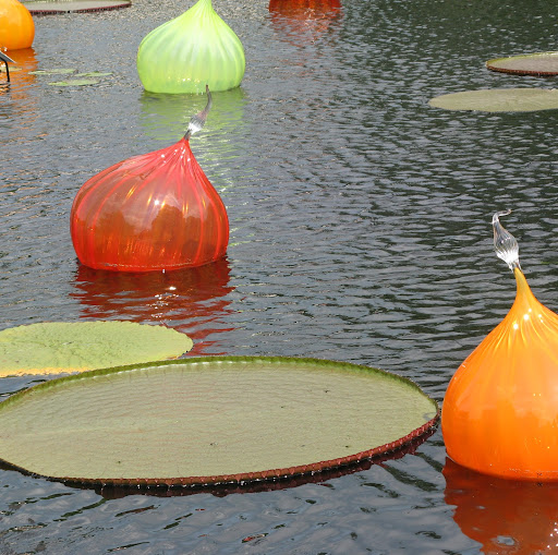 Frances Connelly Photo 12