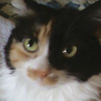 Vaughn Hall Photo 16