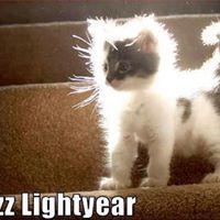 Cynthia Behrens Photo 13