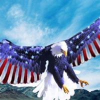 Paul Redding Photo 25