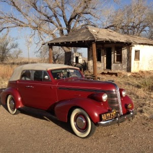 Sandra Cain Photo 32