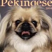 Patricia Mcclain Photo 35