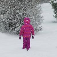 Cindy Sherwood Photo 19