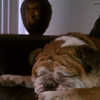 Sheri Garrett Photo 14