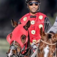 David Brownlee Photo 13