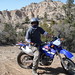 David Stillman Photo 6